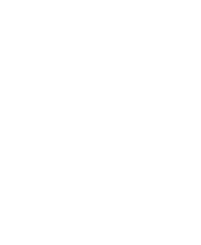 BUC50 Years400